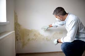 Why You Should Choose Our Mold Remediation Services in Massillon, OH